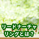 リードナーチャリングとは？メリットや手法など網羅的に解説します。